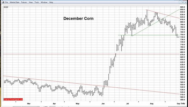 Daily option trade ideas
